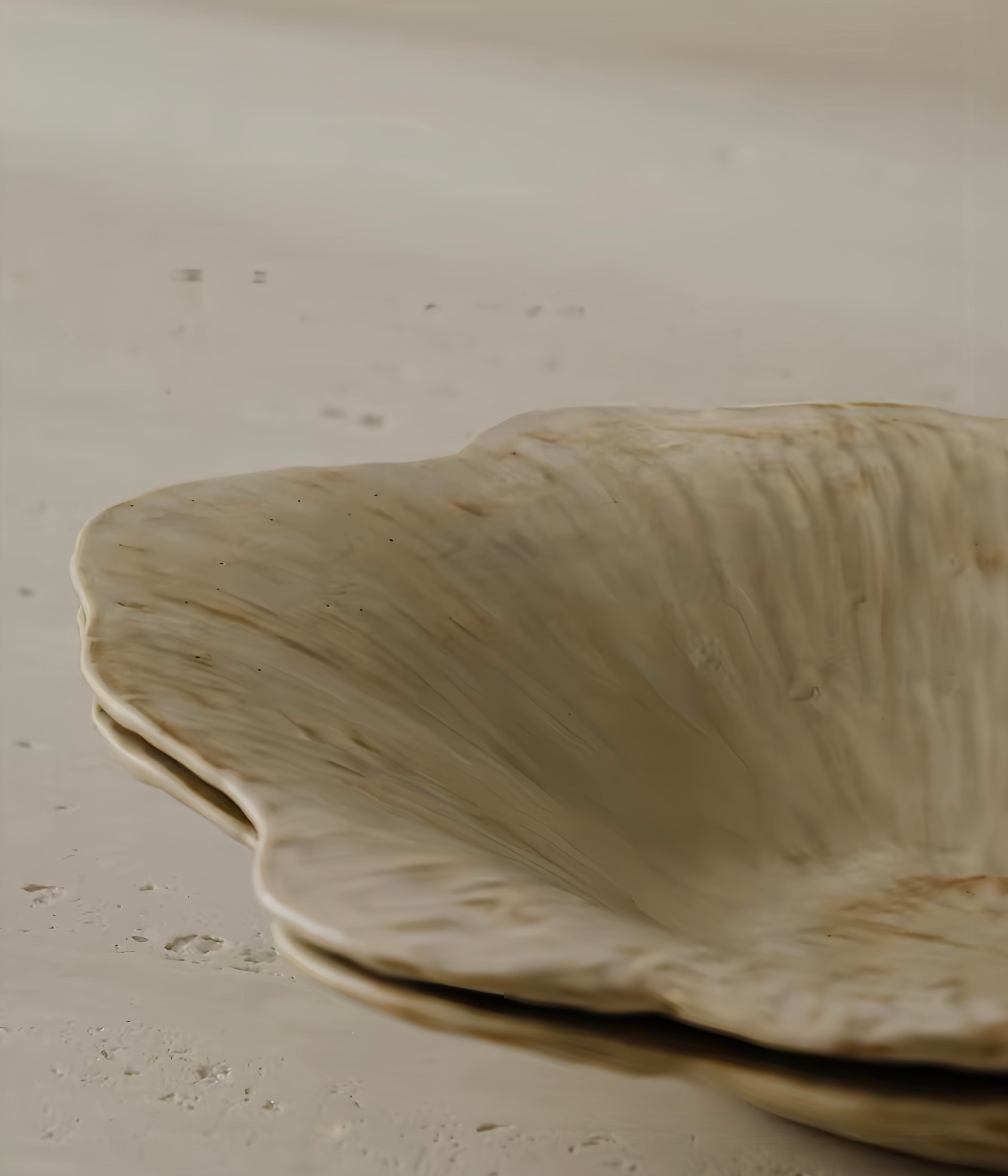 WS Luxury Collection – Blooming Flower Ceramic Tray