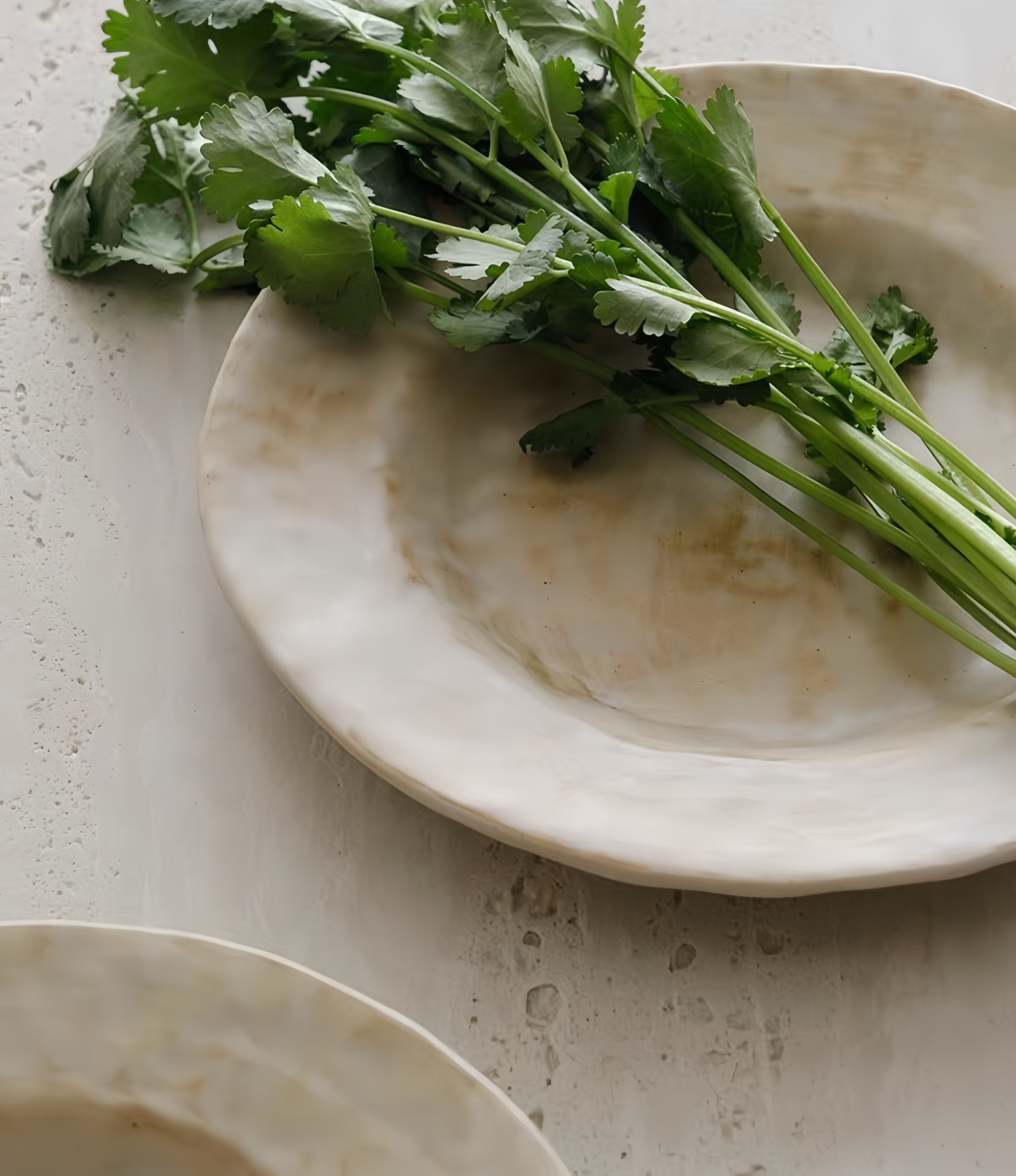 WS Luxury Collection – Sandflow Ceramic Wide Rim Plate