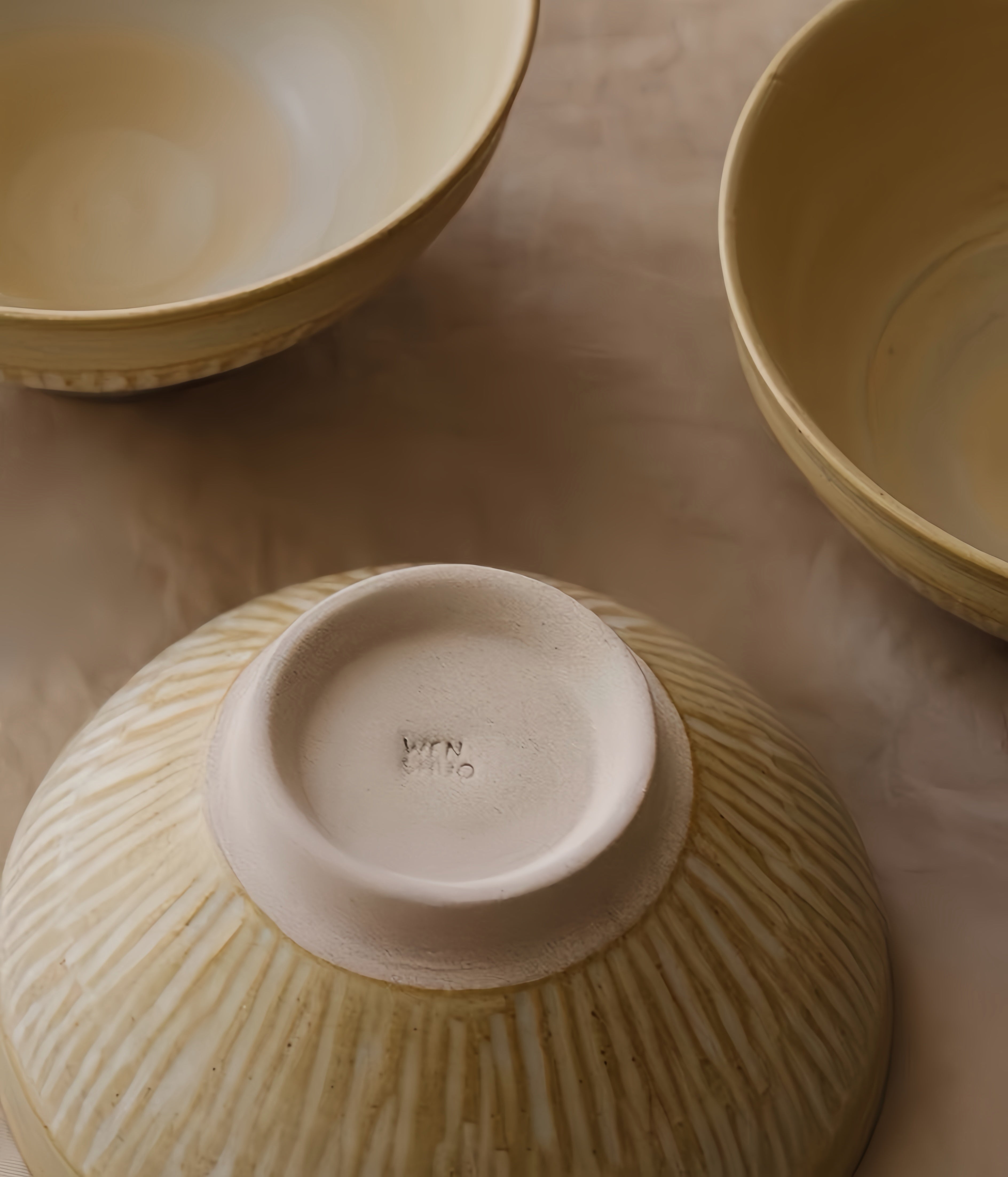 WS Luxury Collection – Linea Ceramic Rice Bowl