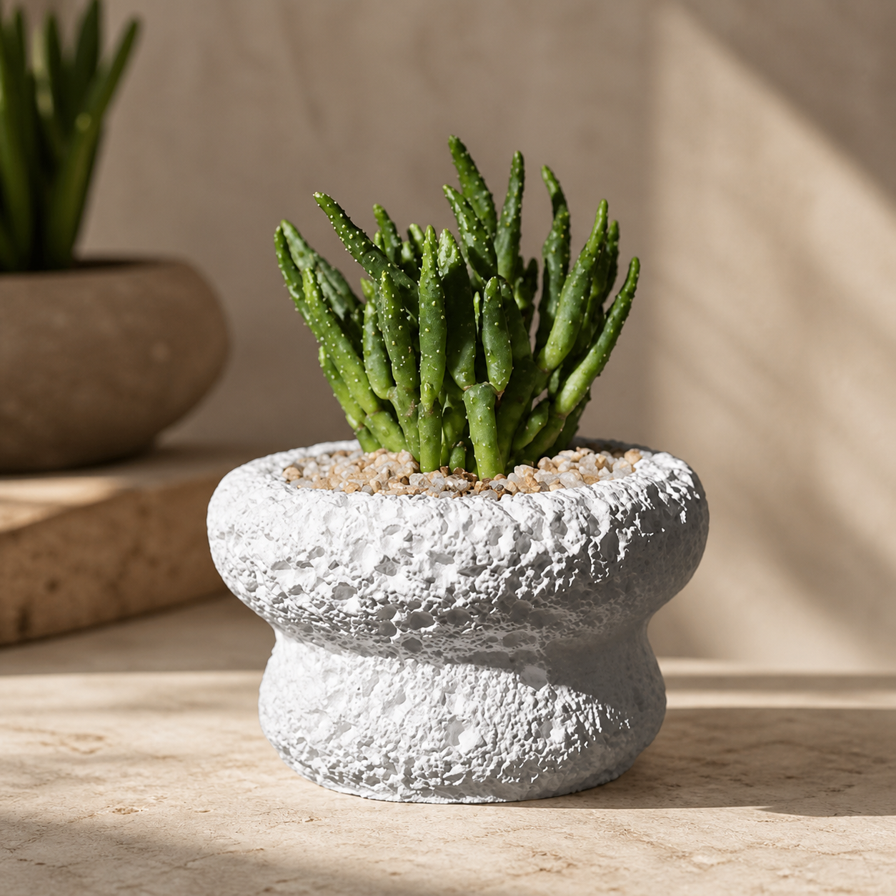 Textured Cement Succulent Planter – Nordic Volcanic Stone Style Cactus Pot, Modern Indoor Plant Decor