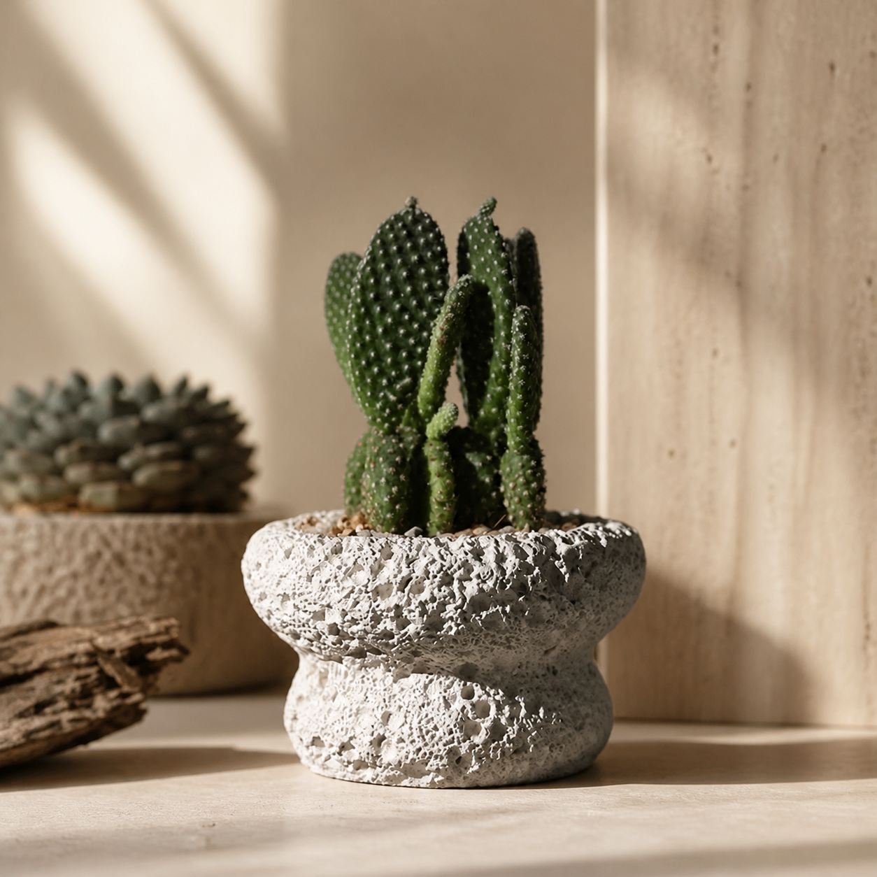 Textured Cement Succulent Planter – Nordic Volcanic Stone Style Cactus Pot, Modern Indoor Plant Decor